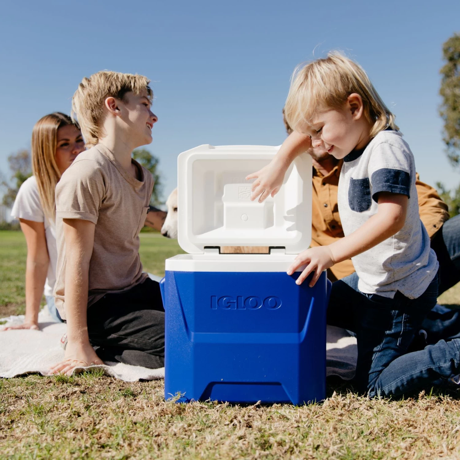Igloo Laguna Roller 14 Wheeled Camping Cool Box 3 Igloo Laguna Roller 14 Wheeled Camping Cool Box - Image 3