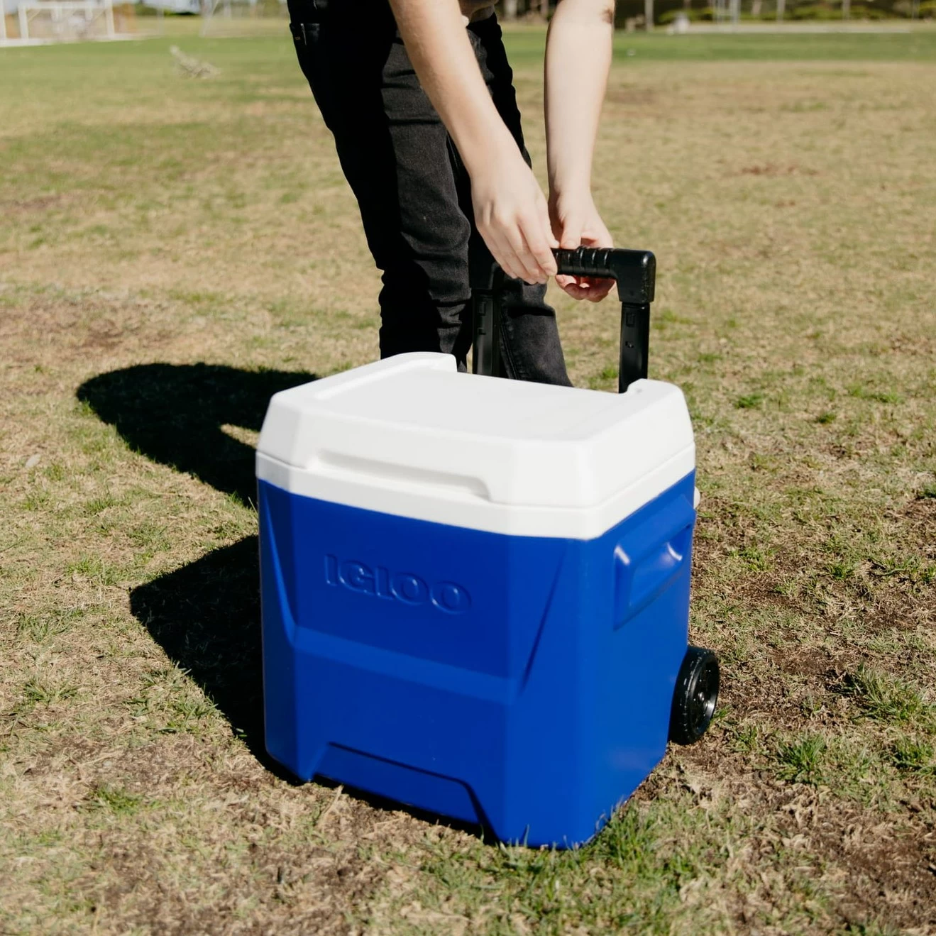 Igloo Laguna Roller 14 Wheeled Camping Cool Box 6 Igloo Laguna Roller 14 Wheeled Camping Cool Box - Image 6