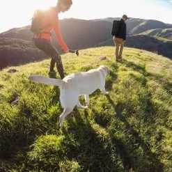 GoPro Karma Grip Gimbal For Cameras 19 GoPro Karma Grip Gimbal For Cameras -Comprehensive outdoor sports sxgh39