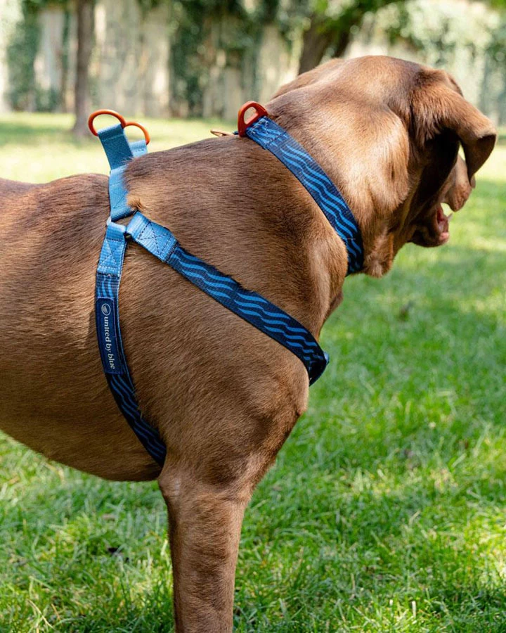 United By Blue Woven Dog Harness Adjustable Pet Harness 3 United By Blue Woven Dog Harness Adjustable Pet Harness - Image 3