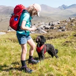 Deuter Climber 22 Children's Backpack 29 Deuter Climber 22 Children's Backpack -Comprehensive outdoor sports uy751