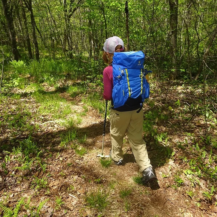 Deuter Climber 22 Children's Backpack 15 Deuter Climber 22 Children's Backpack - Image 15