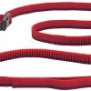 Ruffwear Roamer Leash Stretch Dog Walking Lead