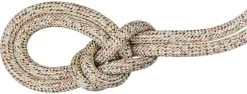 Mammut 9.5 Crag We Care Classic Rock Climbing Rope