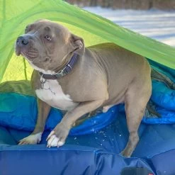 Big Agnes Goosenest Inflatable Cot Bed -Comprehensive outdoor sports zllo1059